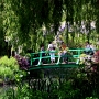 Monet's garden