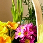 Mother's Day gift