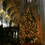Ely Cathedral Christmas tree